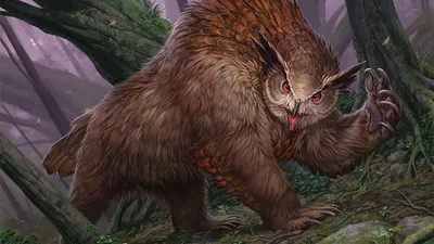 Qu’est-ce qu’un Ours-Hibou ?
